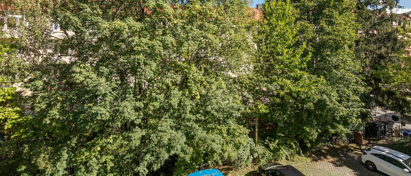 マンション München Obergiesing 02 物件からの眺め 11258