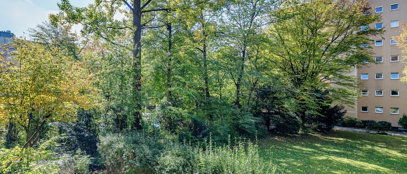 マンション München Parkstadt Bogenhausen 05 物件からの眺め 11276