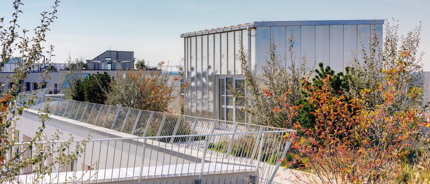 マンション München Obersendling 04 共有テラス 11291