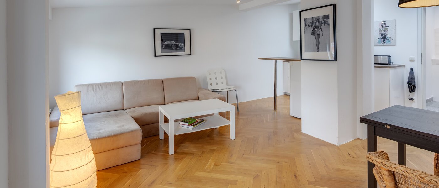 アティック・フラット（屋根裏） München Schwanthalerhöhe 02 リビングエリア 11507