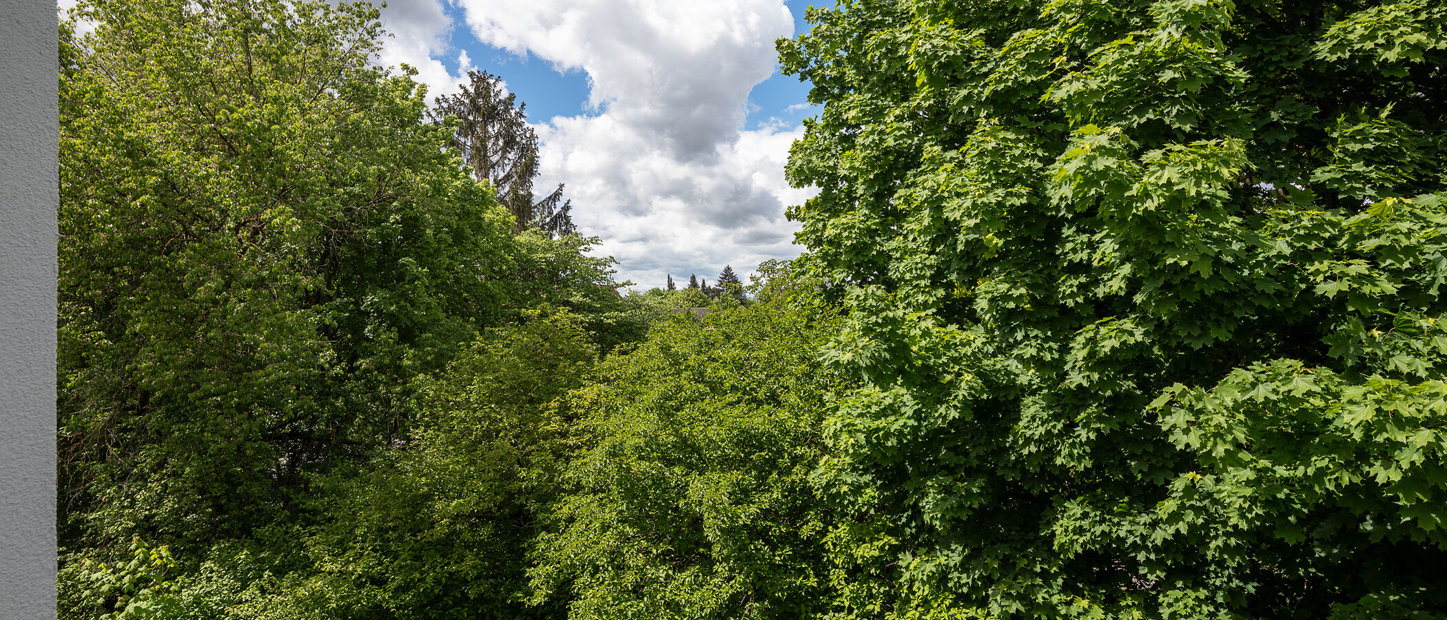 マンション München Nymphenburg 05 物件からの眺め 11535