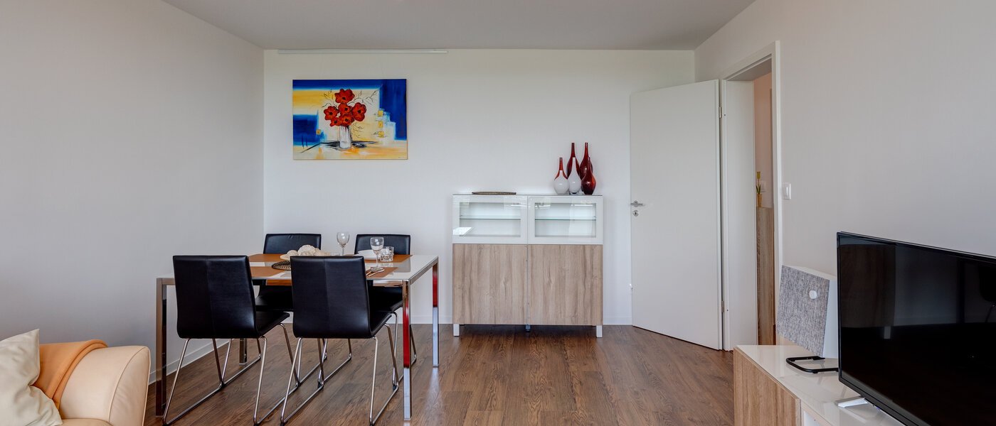 マンション Oberschleißheim 04 リビングルーム 11550