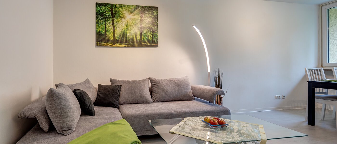 申し訳ございません。こちらの物件はすでに貸し出されました。