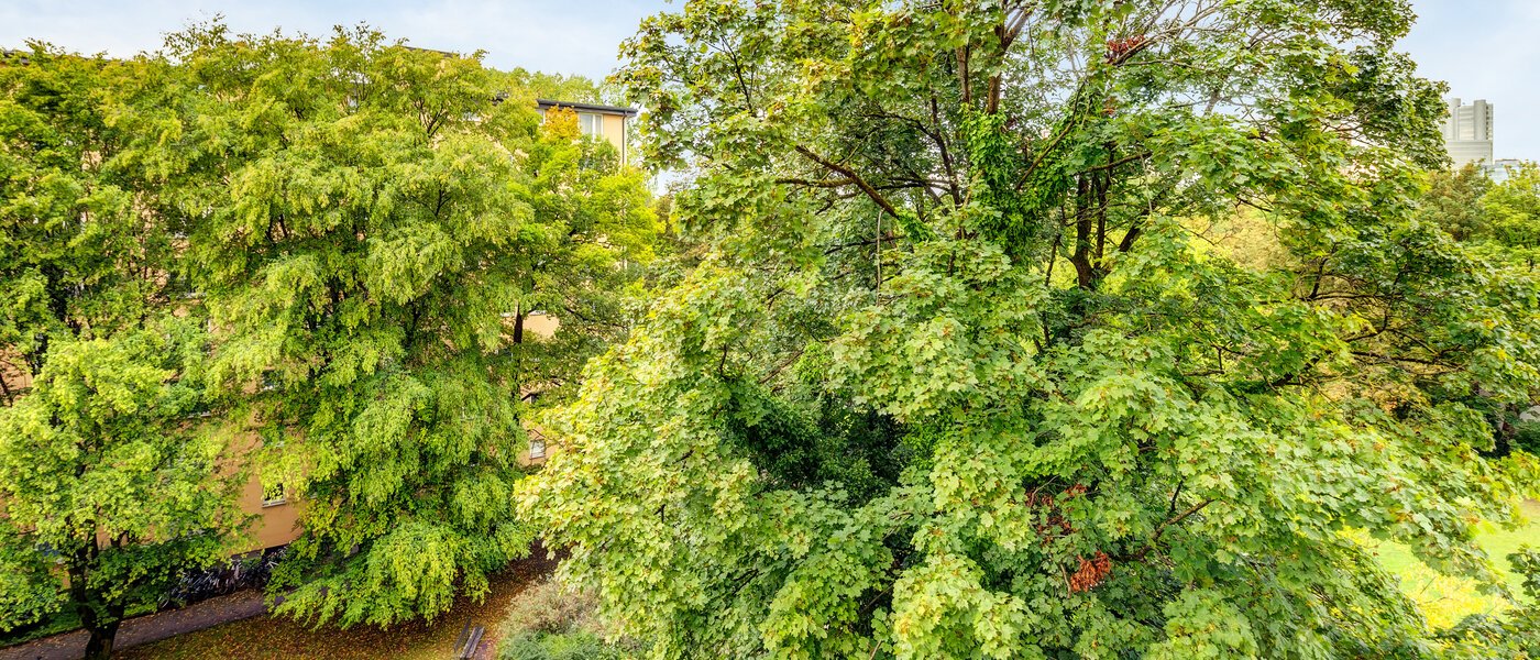 マンション München Parkstadt Bogenhausen 02 物件からの眺め 1160