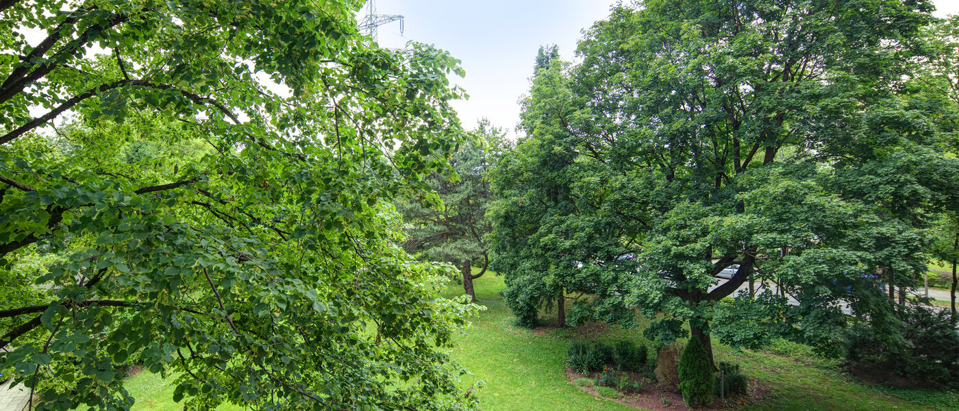 マンション München Aubing 02 物件からの眺め 11641