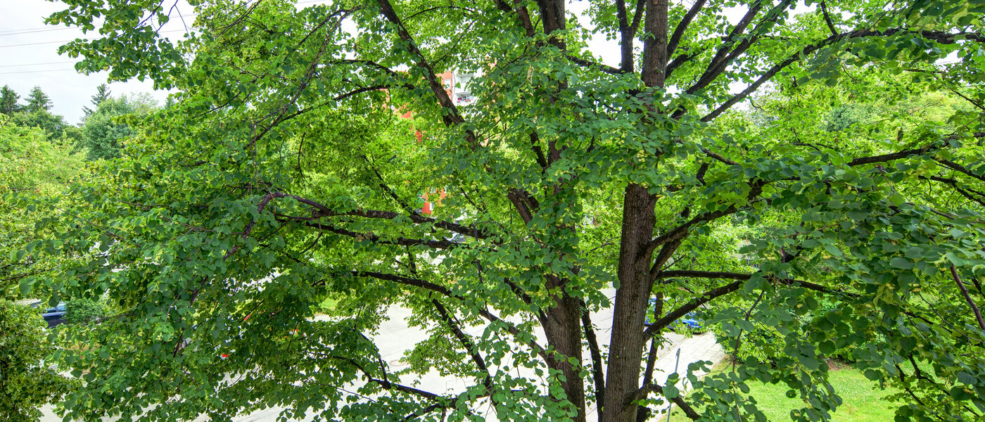 マンション München Aubing 03 物件からの眺め 11641