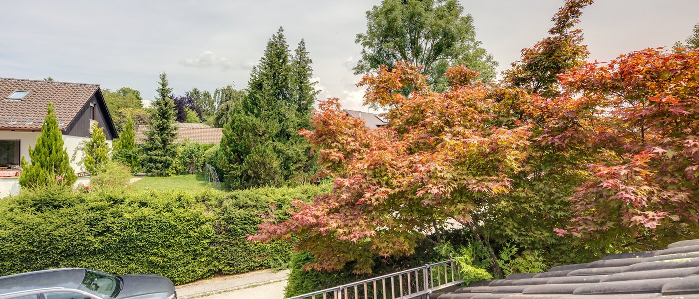 アティック・フラット（屋根裏） Feldafing Tutzing 06 物件からの眺め 11697