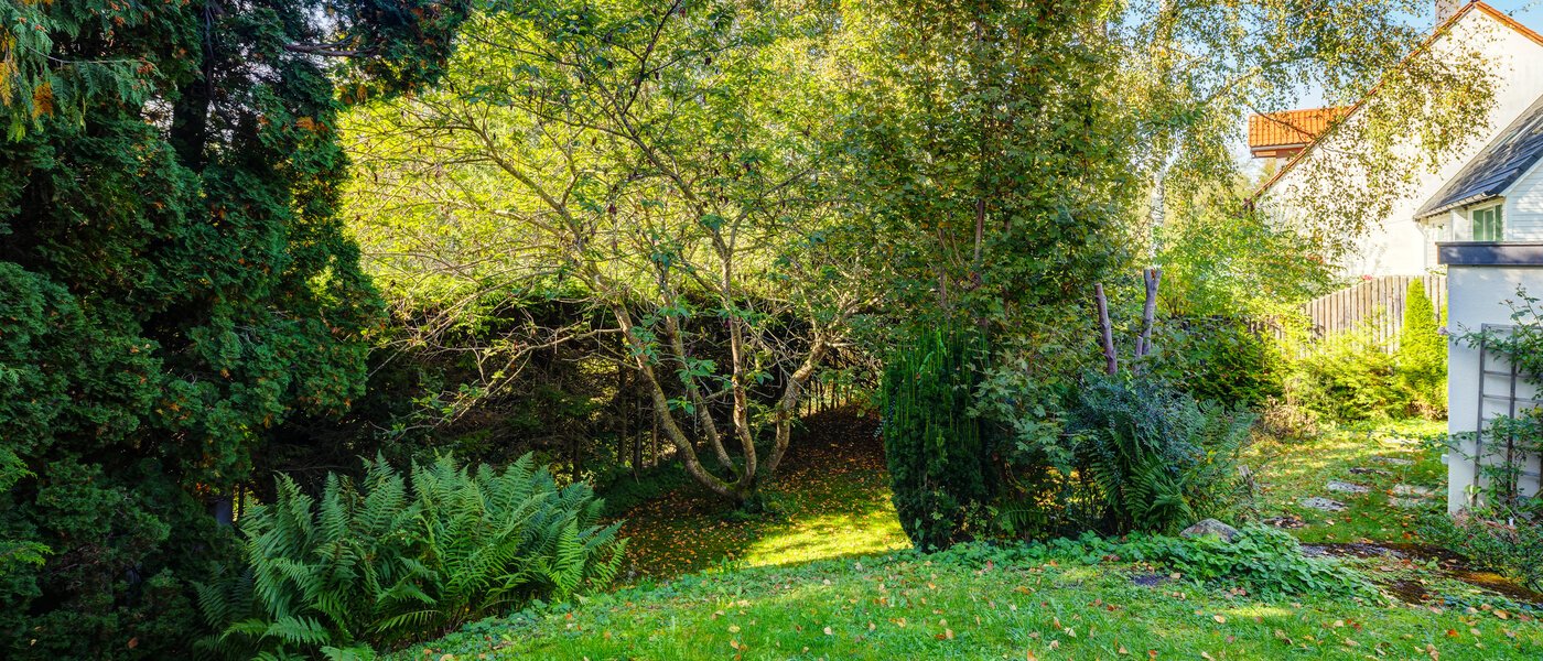 庭付き住宅 Feldafing 02 庭 11698