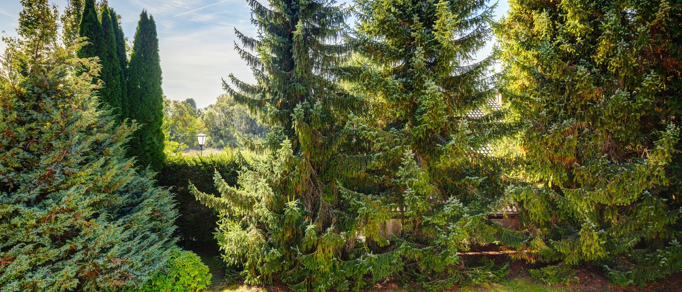 庭付き住宅 Feldafing 01 物件からの眺め 11698