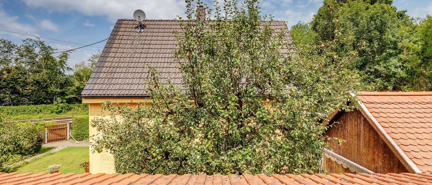 一戸建て München Fasanerie 02 物件からの眺め 11740