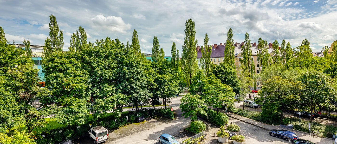 マンション München Haidhausen 01 物件からの眺め 11768