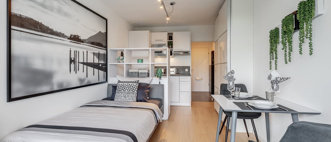 マンション München Haidhausen 03 リビングエリア 11768