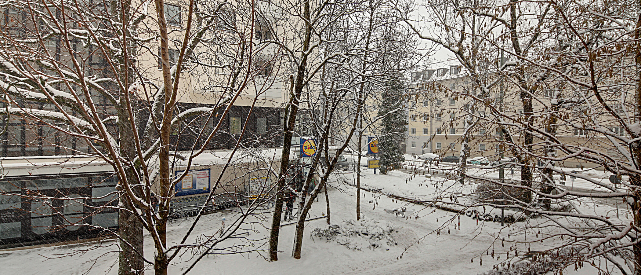 マンション München Schwabing (links der Leopoldstraße) 03 物件からの眺め 1191