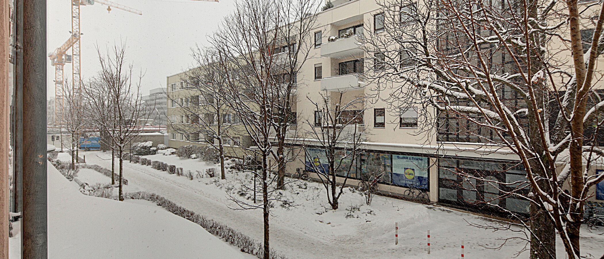 マンション München Schwabing (links der Leopoldstraße) 04 物件からの眺め 1191