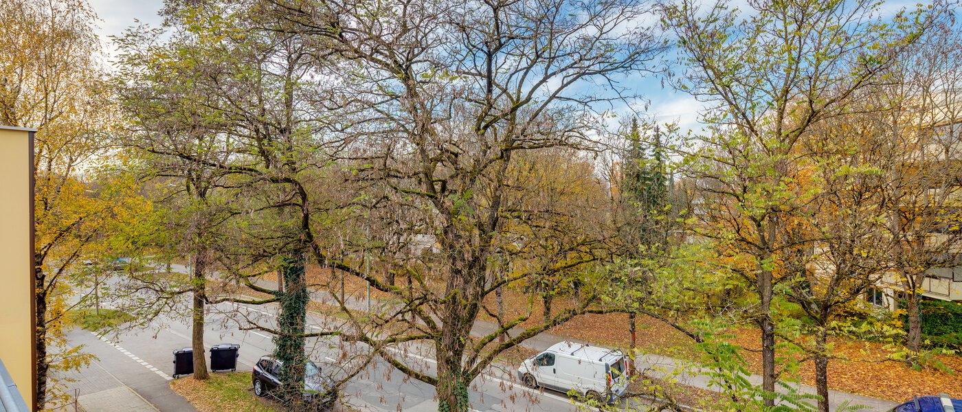 マンション München Solln 01 物件からの眺め 11930