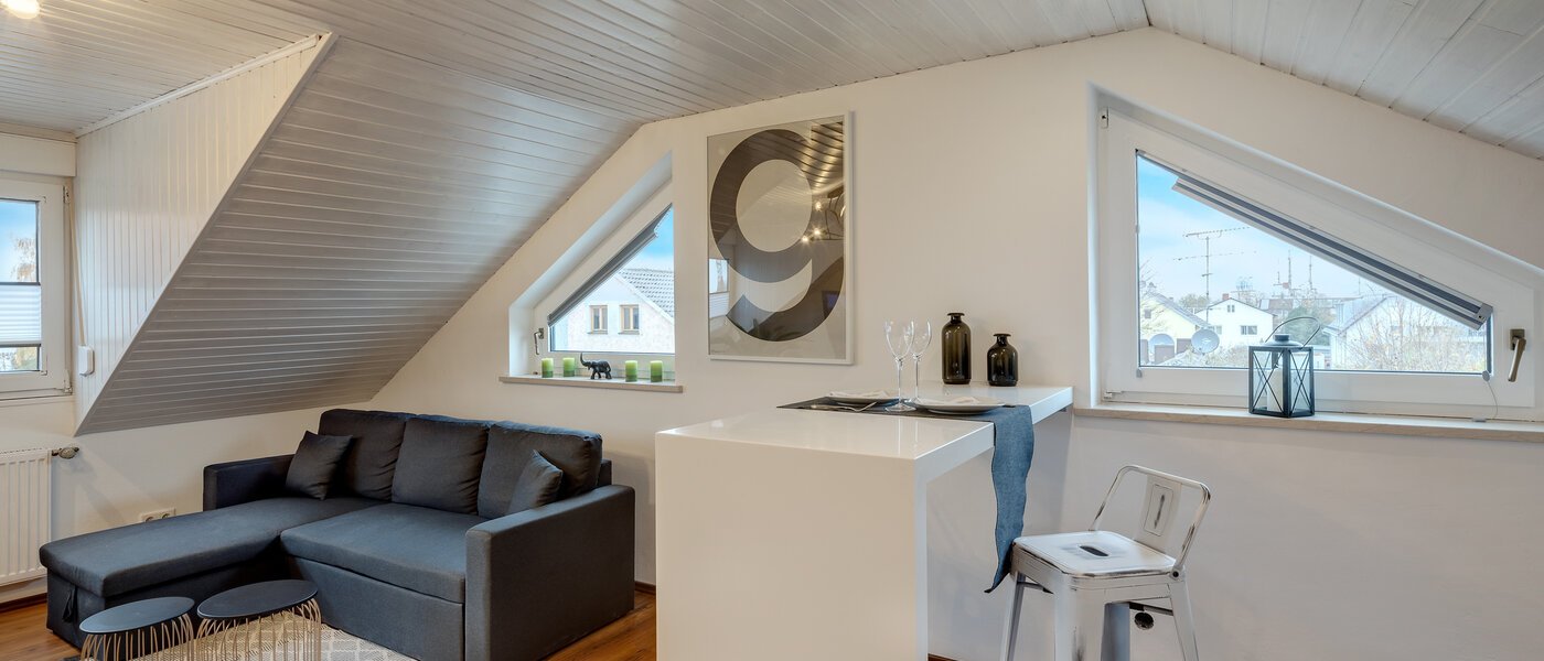 アティック・フラット（屋根裏） München Lerchenau 01 リビングエリア 11948