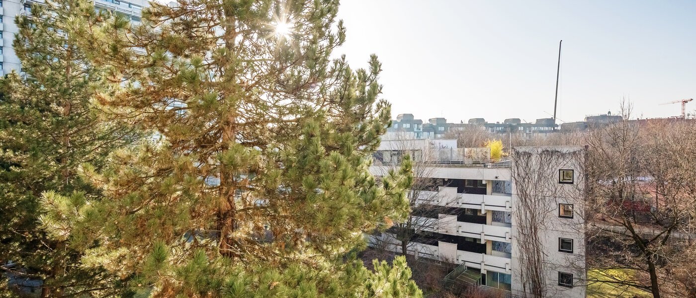 マンション München Haidhausen 01 物件からの眺め 12031