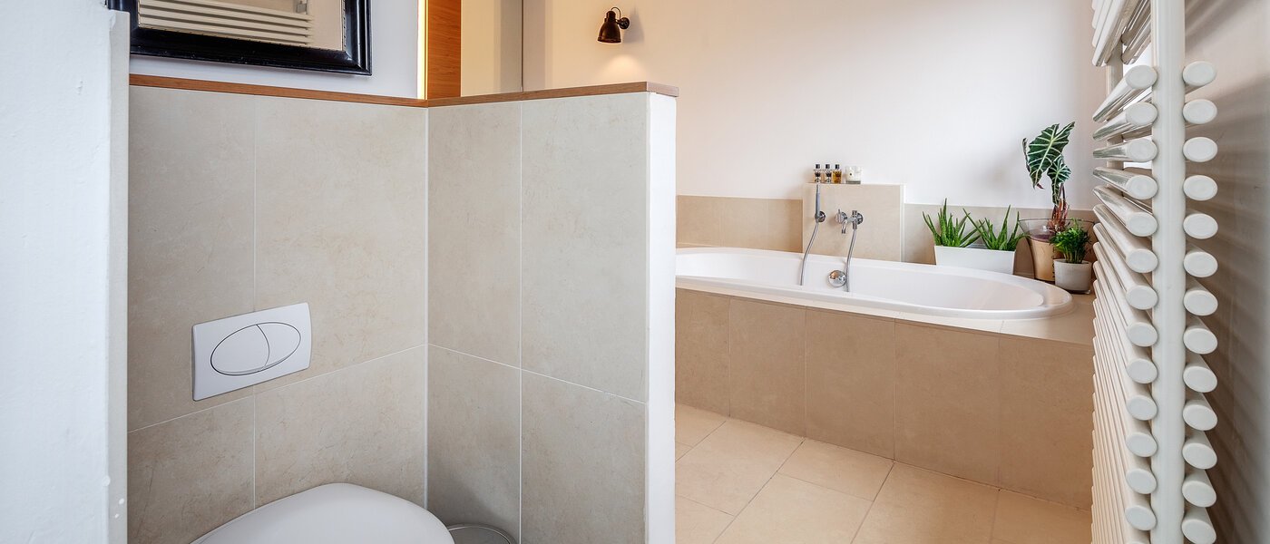 メゾネット・マンション（複数階にわたるマンション） München Ludwigsvorstadt 03 浴室 12126