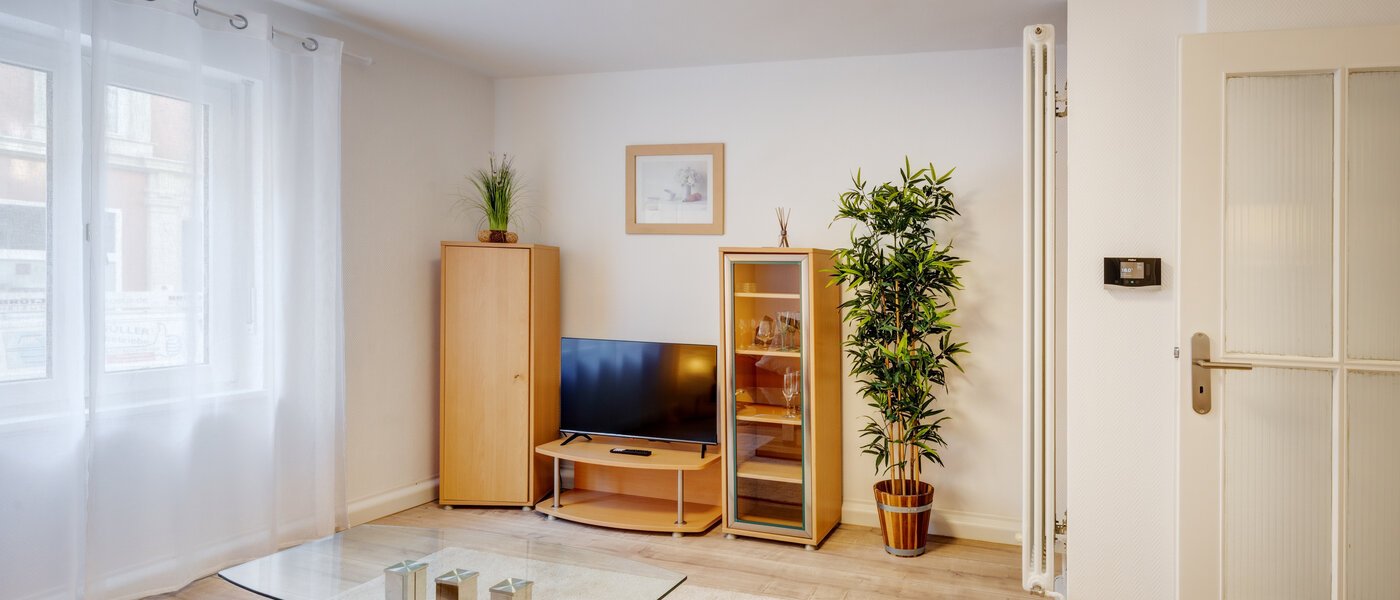 マンション München Maxvorstadt - Museumsviertel 02 リビングルーム 1215