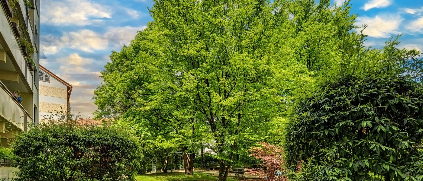 マンション München Neuhausen 03 物件からの眺め 12163