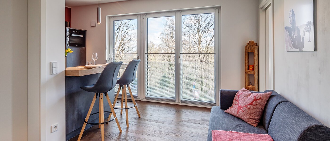 マンション München Thalkirchen 02 リビングエリア 12190