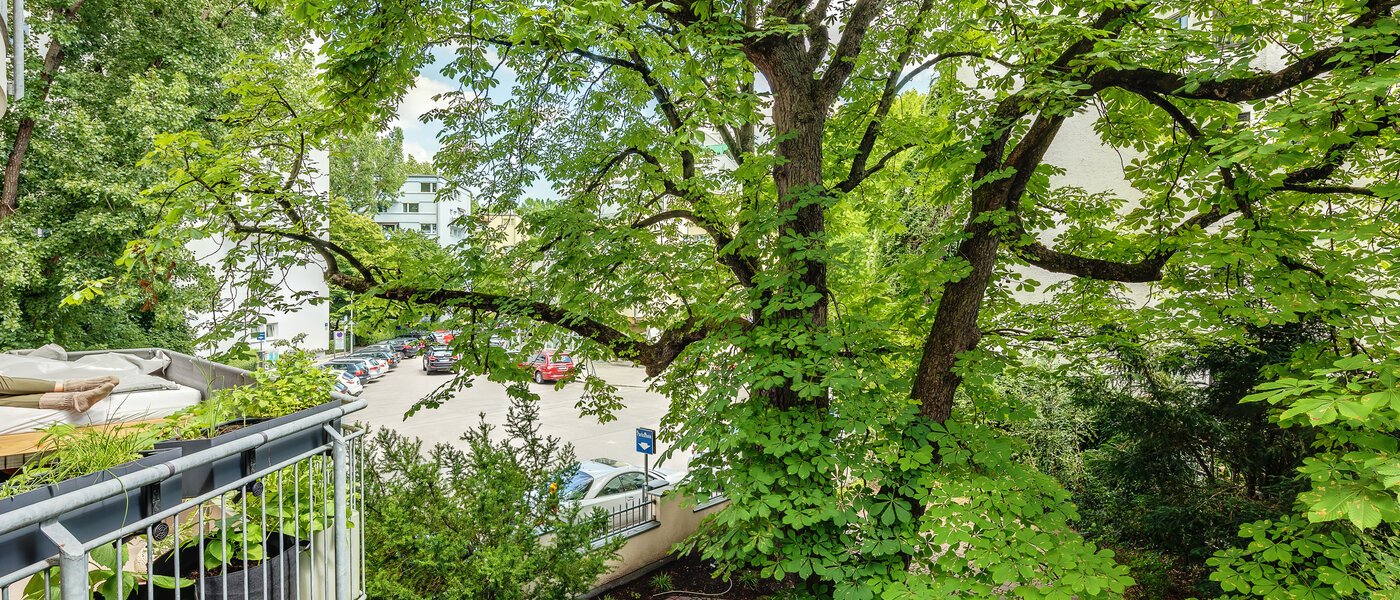 マンション München Schwabing 03 物件からの眺め 12216