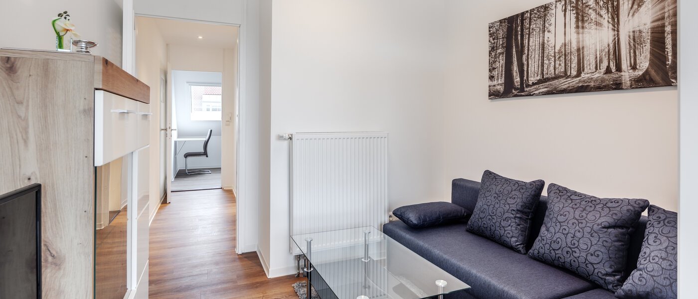 申し訳ございません。こちらの物件はすでに貸し出されました。