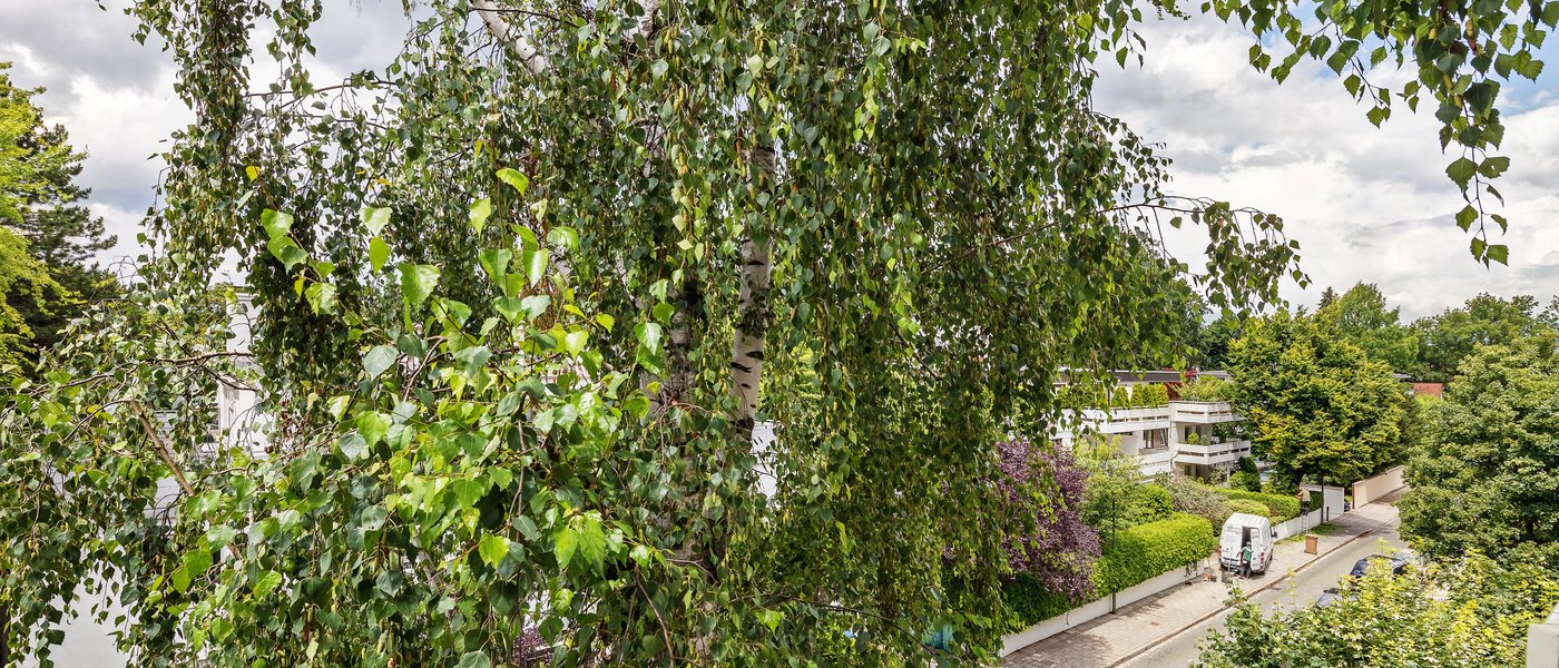 マンション München Herzogpark 03 物件からの眺め 12265