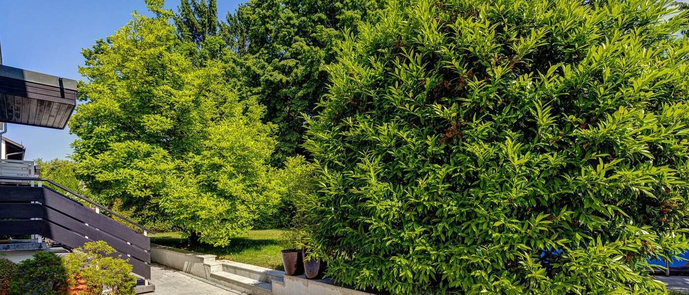 メゾネット・マンション（複数階にわたるマンション） München Cosimapark 06 共有 12301