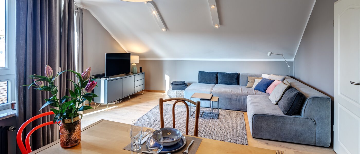 アティック・フラット（屋根裏） München Obergiesing 01 リビングエリア 12328