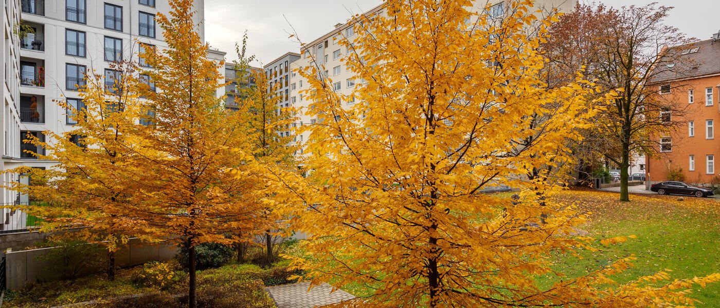 マンション München Bogenhausen 01 物件からの眺め 12389