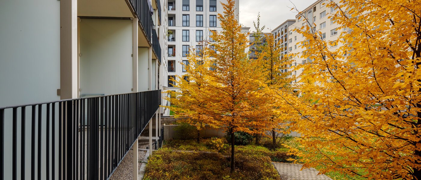 マンション München Bogenhausen 02 物件からの眺め 12389
