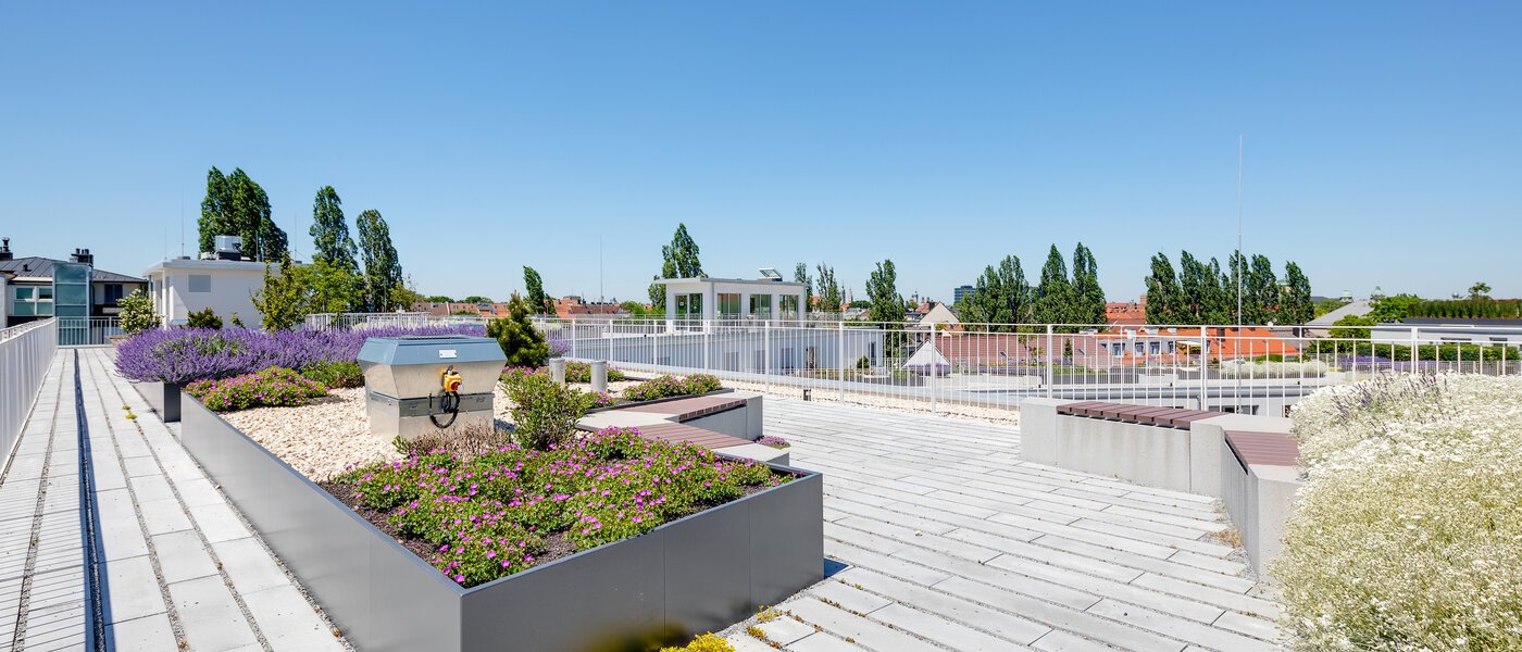 マンション München Au 03 共有 12517