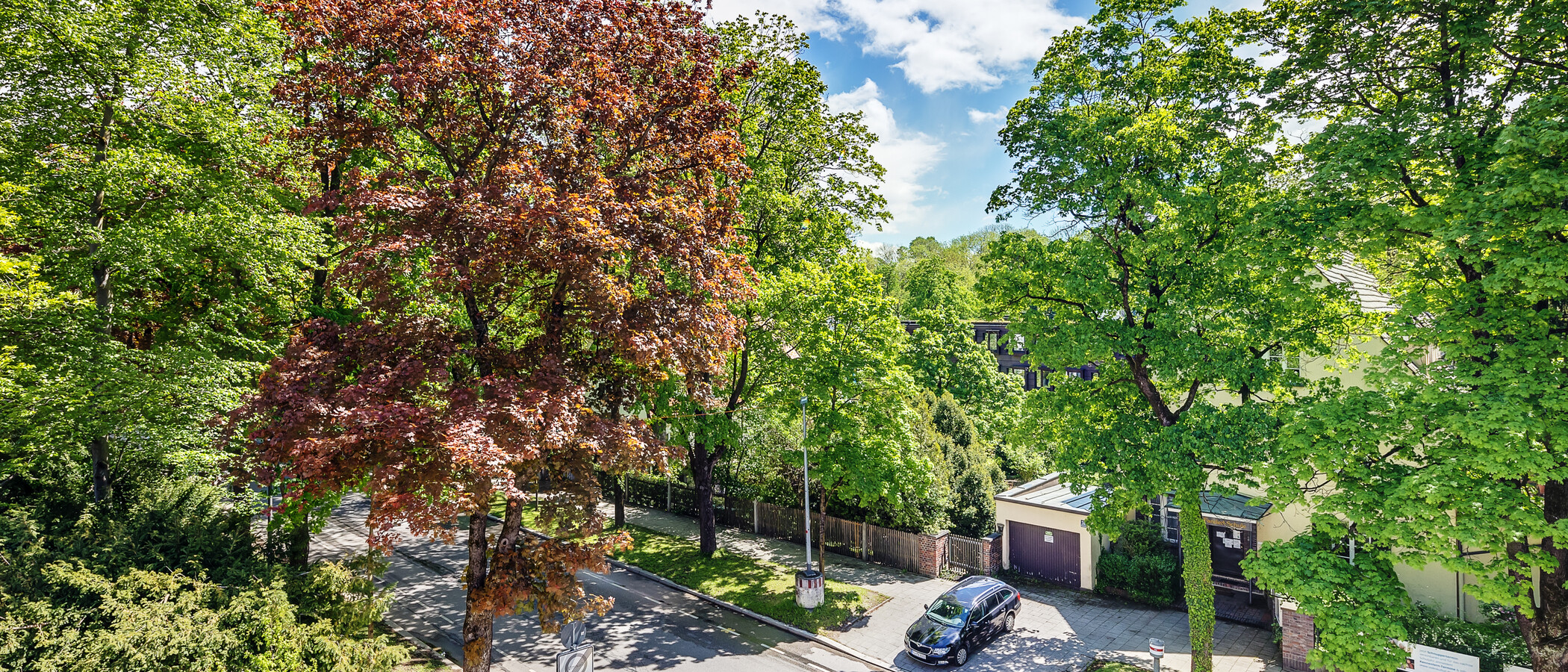 マンション München Herzogpark 01 物件からの眺め 12546