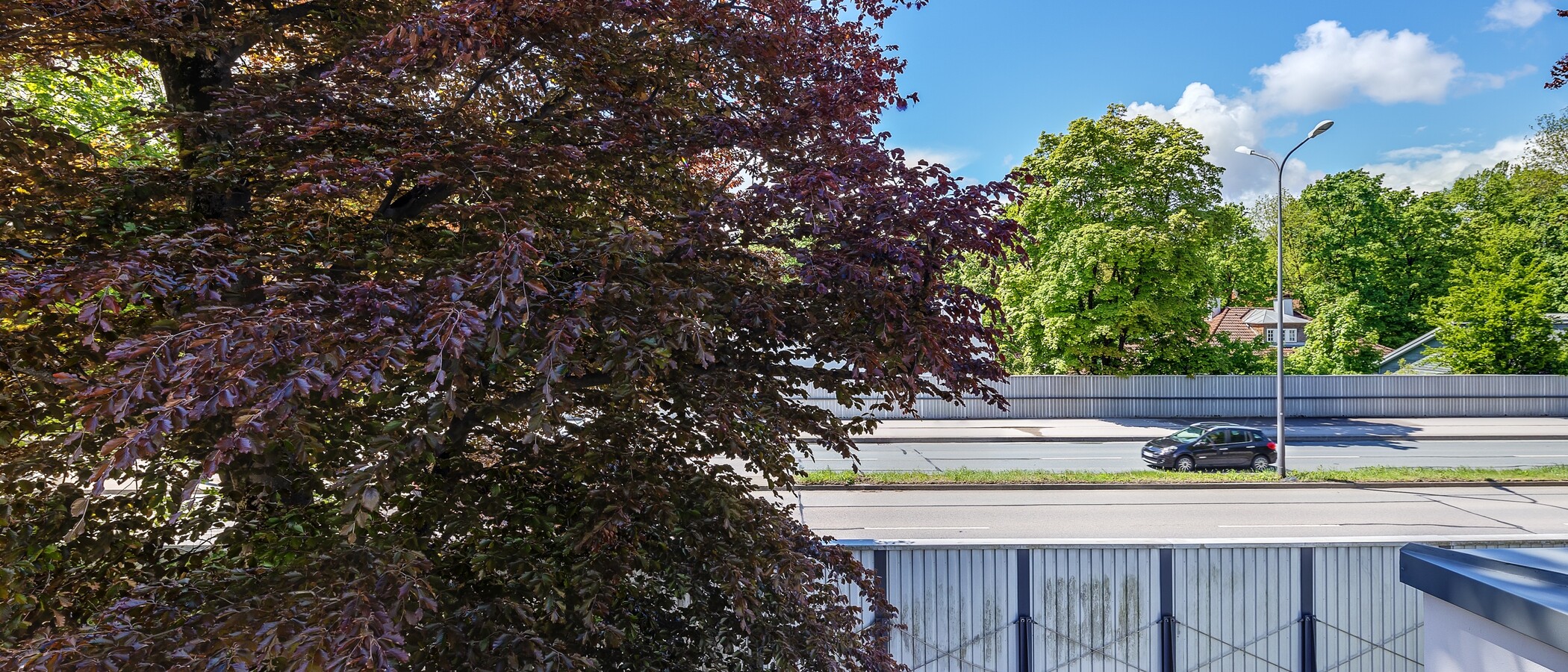 マンション München Herzogpark 03 物件からの眺め 12546