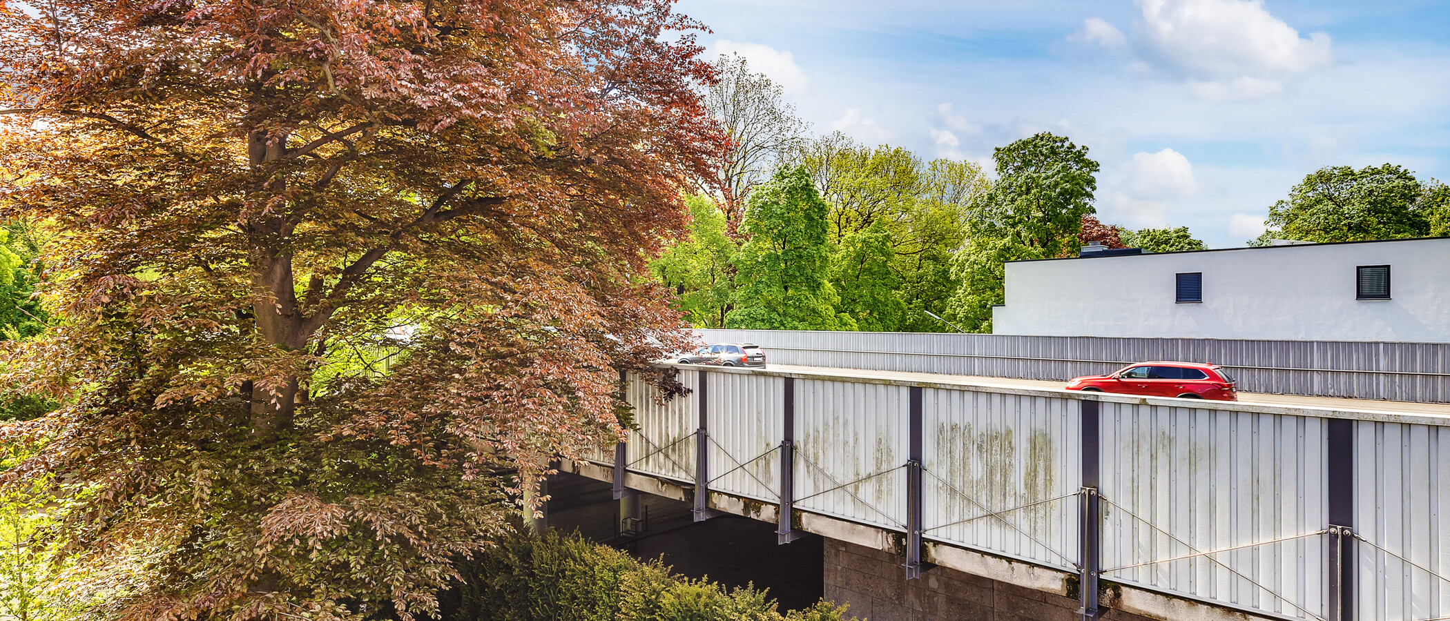 マンション München Herzogpark 01 物件からの眺め 12566