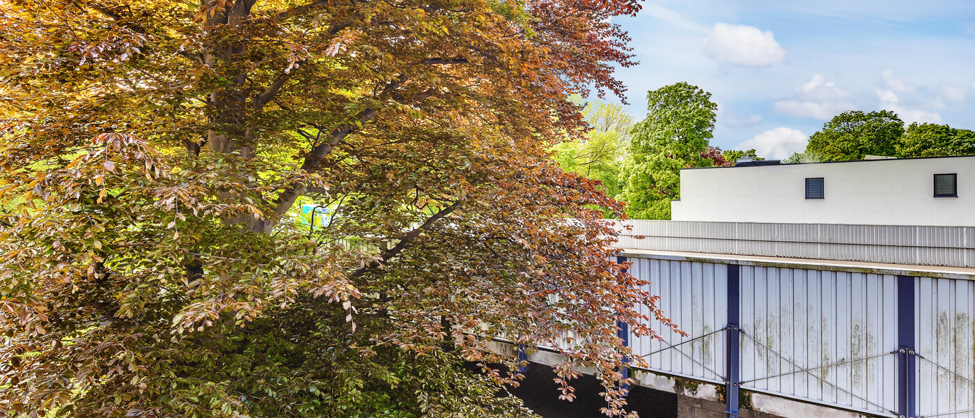 マンション München Herzogpark 01 物件からの眺め 12567