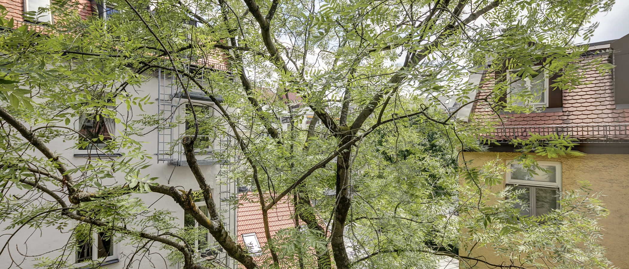 マンション München Schwabing (links der Leopoldstraße) 01 物件からの眺め 1262