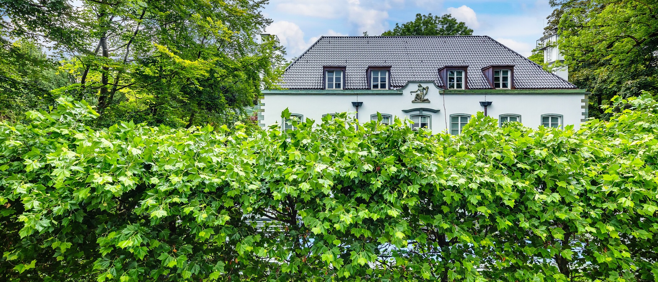 マンション München Herzogpark 01 物件からの眺め 12620