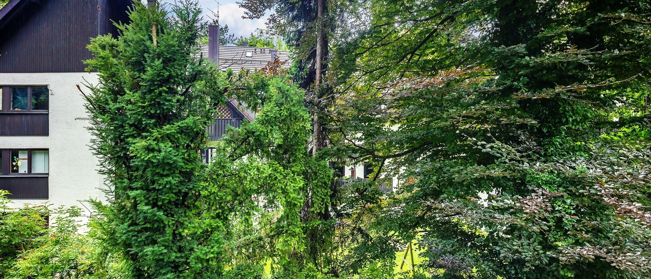 マンション München Herzogpark 02 物件からの眺め 12620