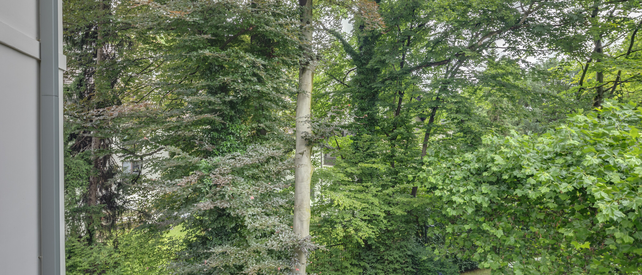 マンション München Herzogpark 03 物件からの眺め 12620