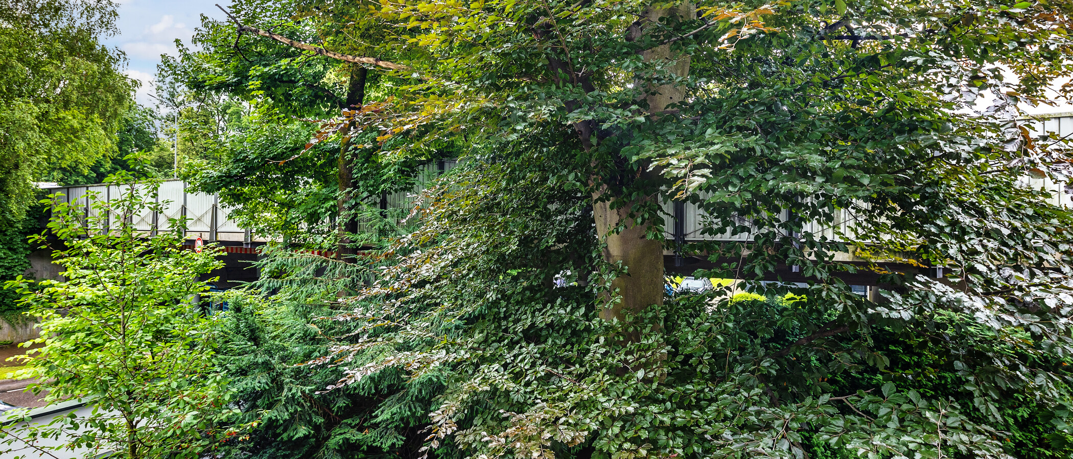 マンション München Herzogpark 04 物件からの眺め 12628