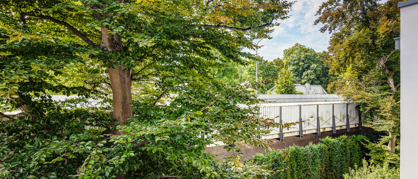 マンション München Herzogpark 03 物件からの眺め 12674