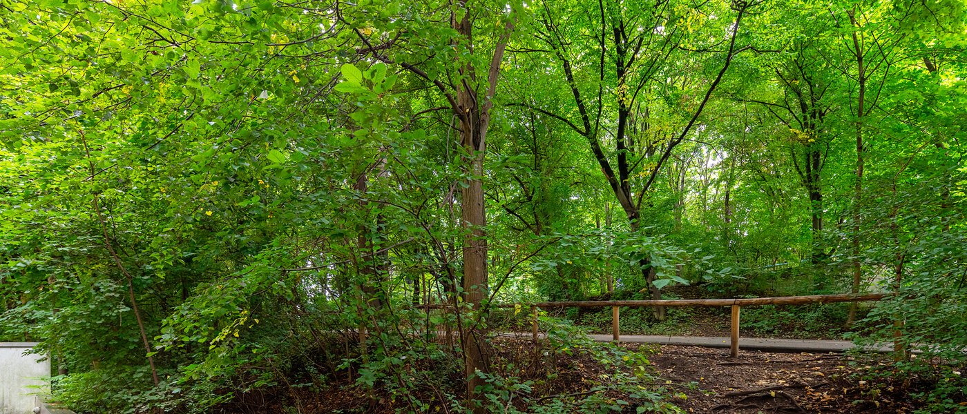 マンション München Thalkirchen 02 物件からの眺め 12695