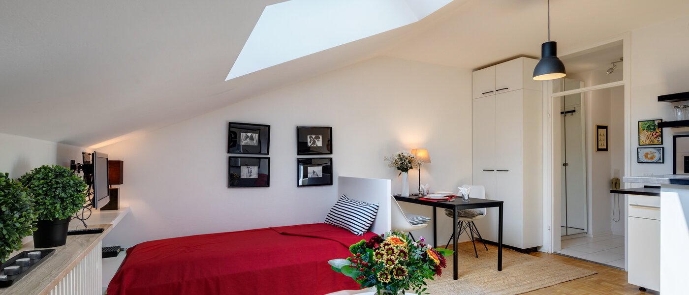 アティック・フラット（屋根裏） Kreuth Weissach 01 スリーピングアリア 12696