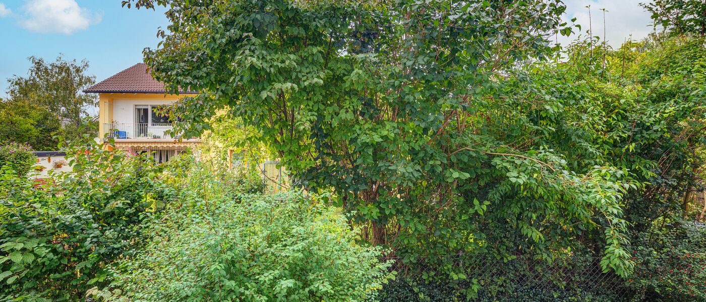 マンション Feldkirchen 03 物件からの眺め 12738