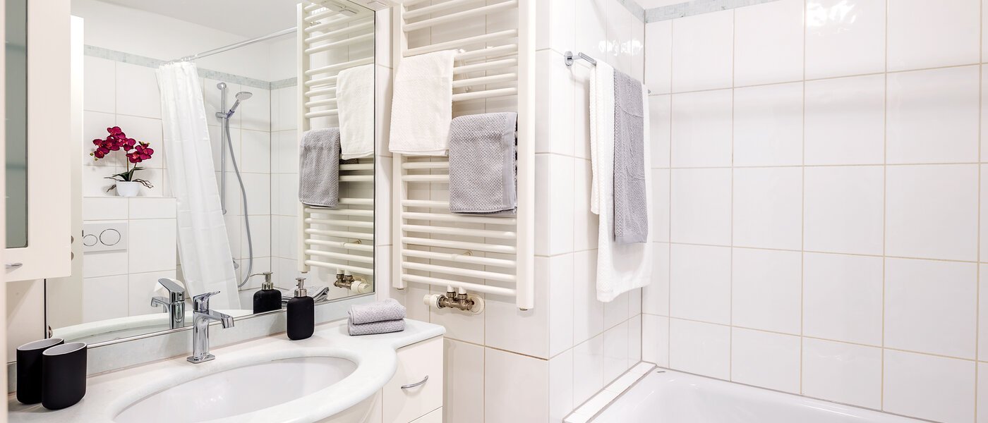 マンション München Maxvorstadt - Westen 01 浴室 12753