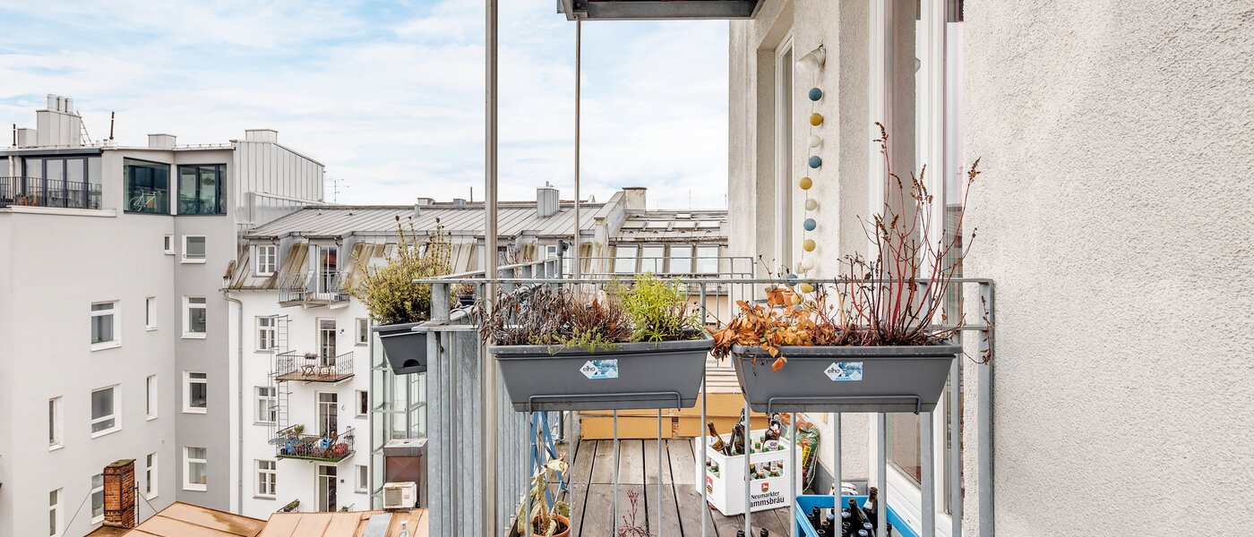 マンション München Maxvorstadt - Westen 03 物件からの眺め 12753