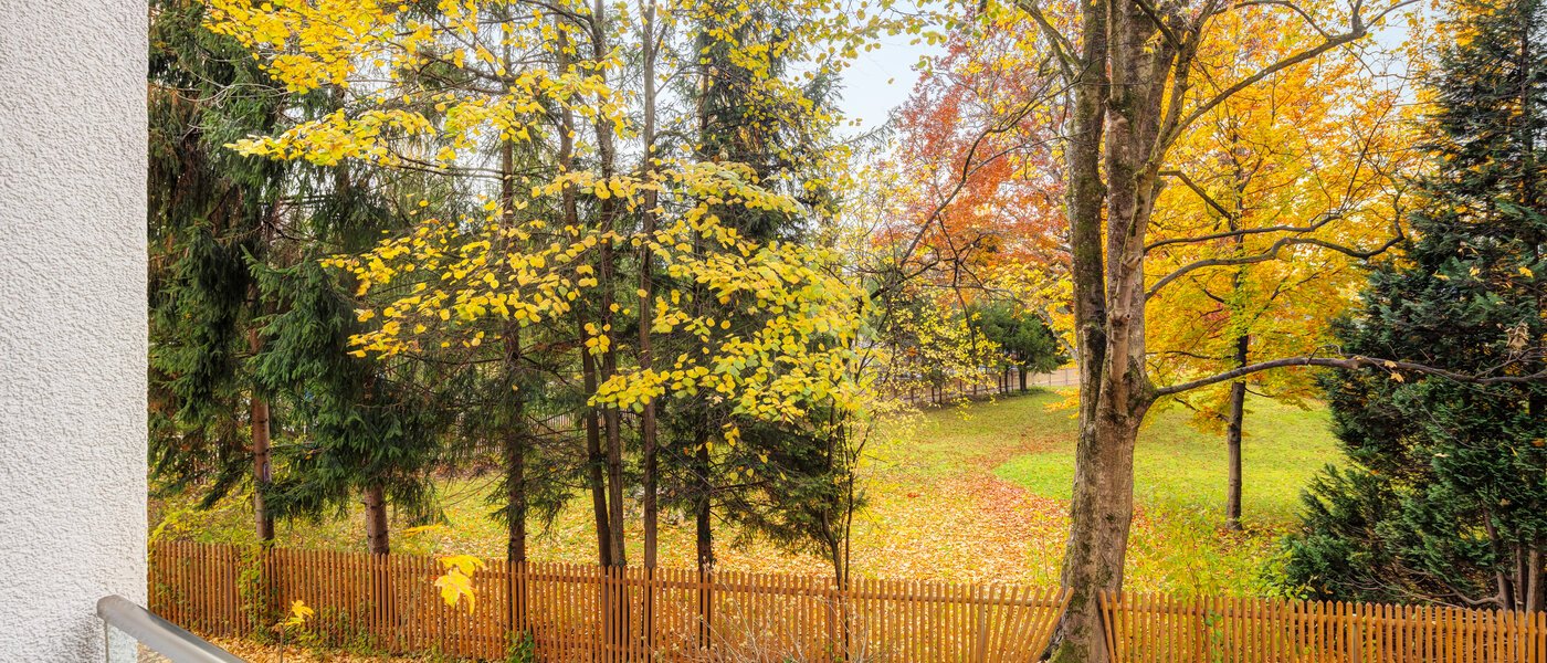 マンション München Cosimapark 01 物件からの眺め 12861