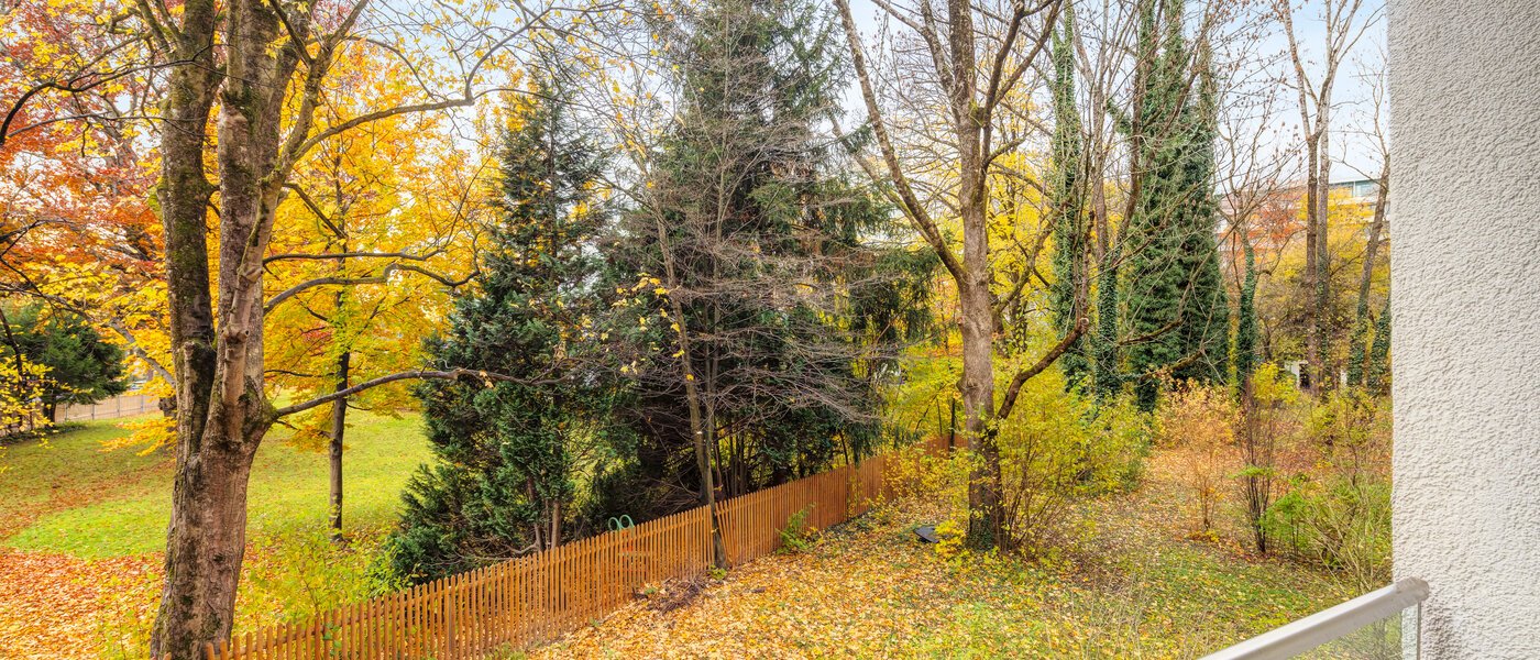 マンション München Cosimapark 02 物件からの眺め 12861